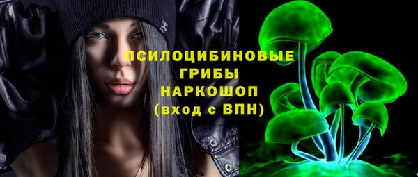 ГАЛЛЮЦИНОГЕННЫЕ ГРИБЫ Карпинск