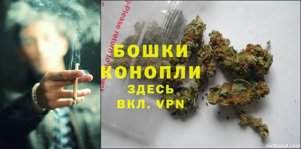 кокс Касимов