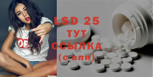 ГАЛЛЮЦИНОГЕННЫЕ ГРИБЫ Карпинск