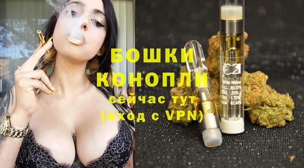 кокс Касимов