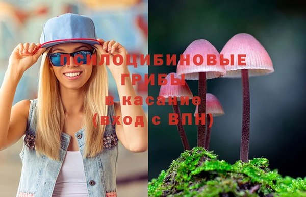 ГАЛЛЮЦИНОГЕННЫЕ ГРИБЫ Карпинск