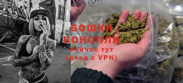кокс Касимов