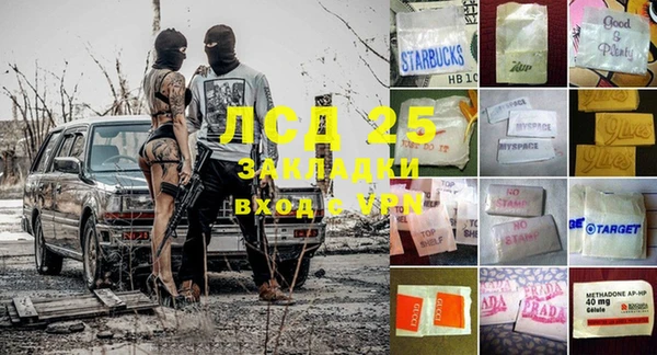 ГАЛЛЮЦИНОГЕННЫЕ ГРИБЫ Карпинск