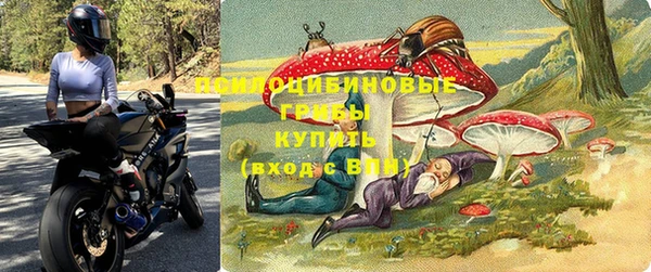 кокс Касимов